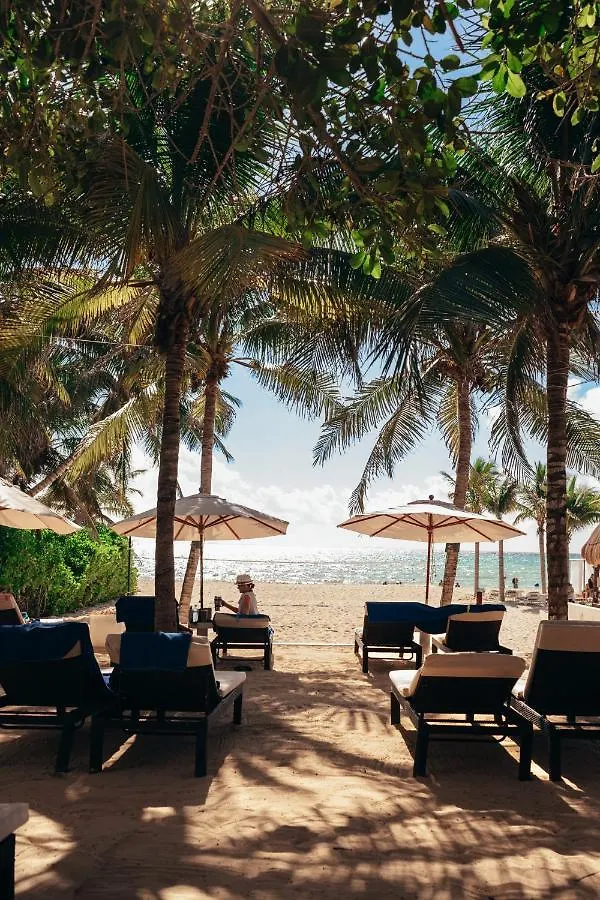 פלאייה דל כרמן The Reef Playacar Beach Resort & Spa