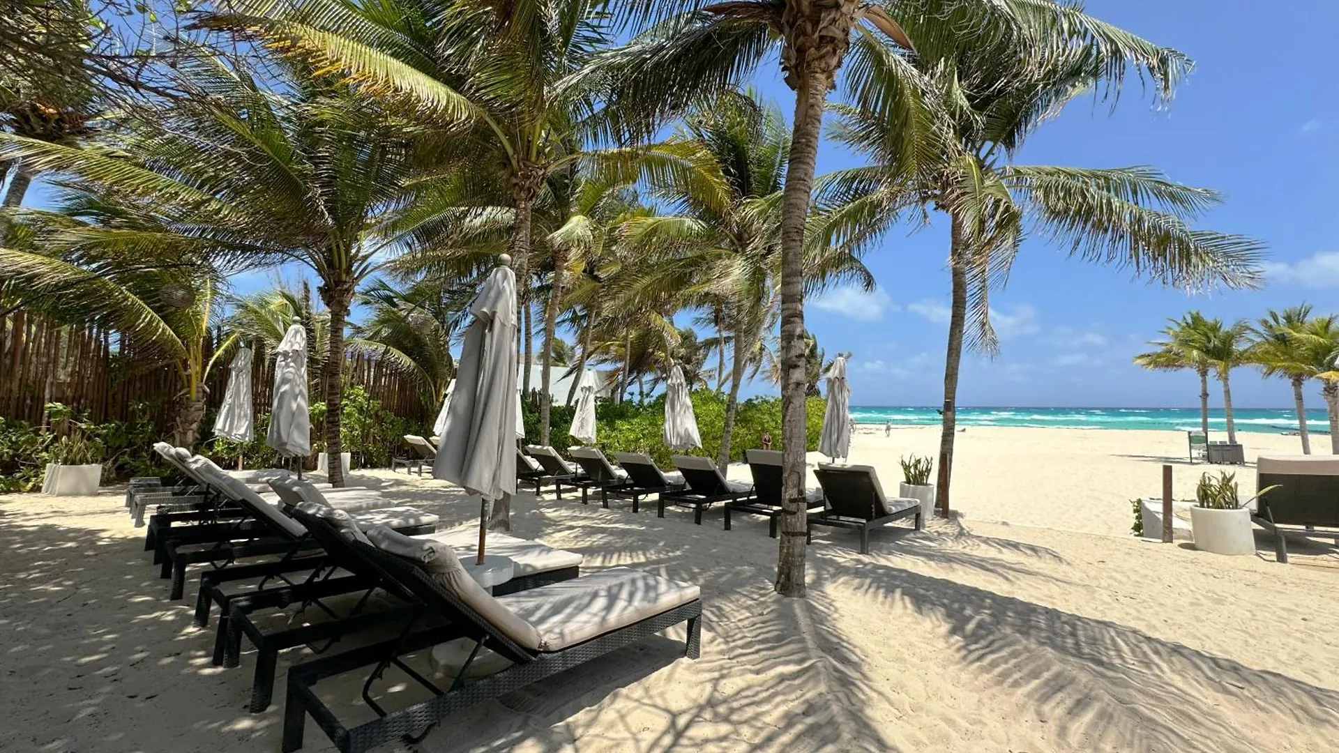 The Reef Playacar Beach Resort & Spa Плая-дель-Кармен
