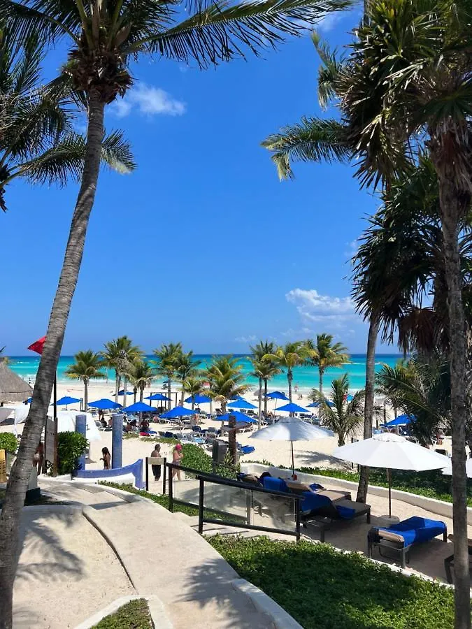 פלאייה דל כרמן The Reef Playacar Beach Resort & Spa