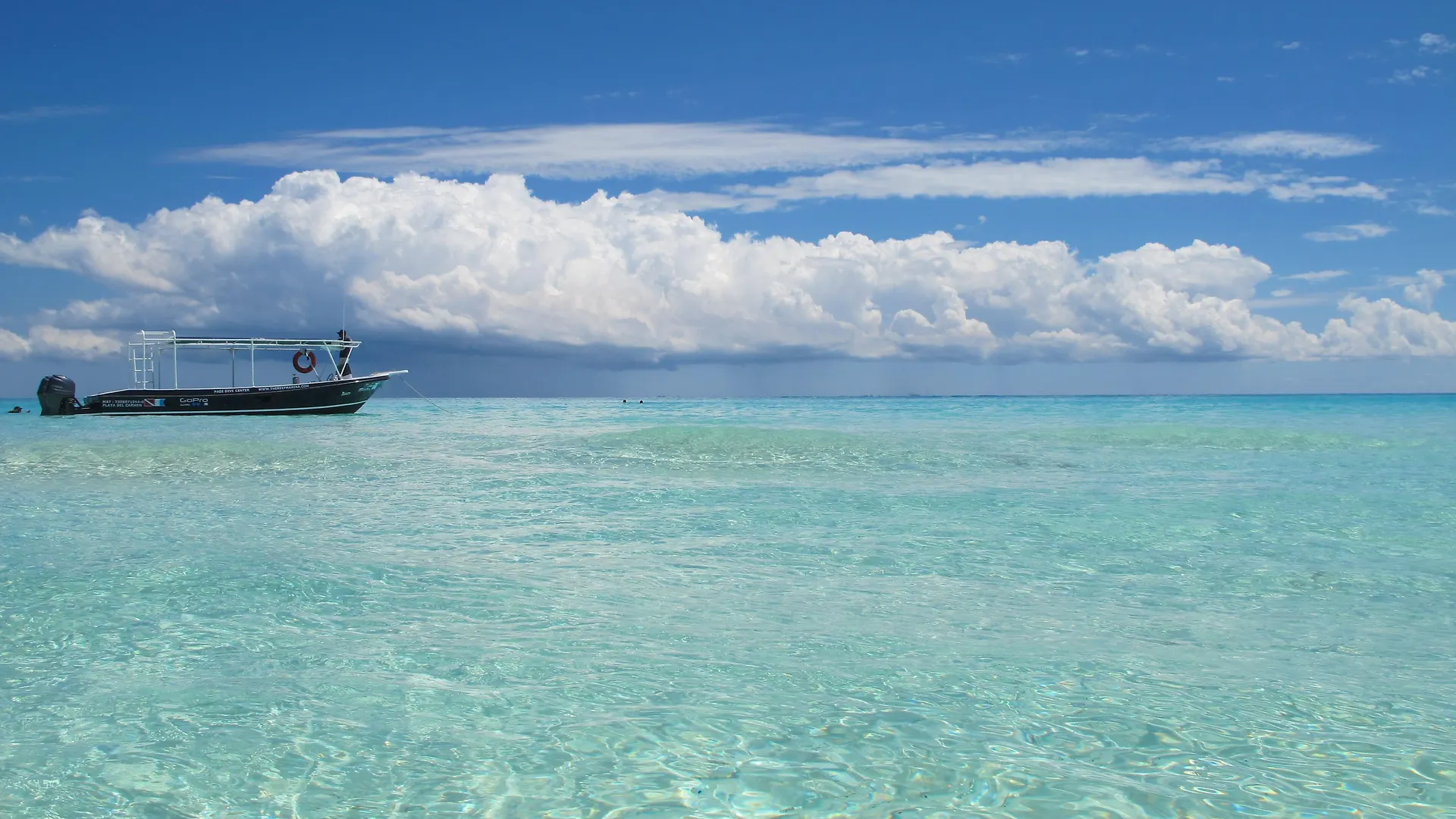 The Reef Playacar Beach Resort & Spa Playa del Carmen